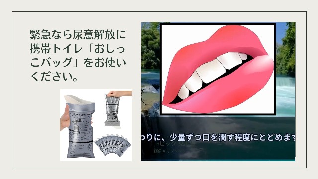 Amazon.co.jp: MiusenMadoka 簡易トイレ 4枚セット 携帯 災害 防災